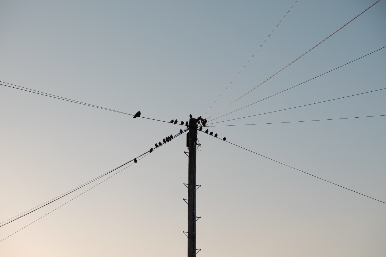 DSCF7892.JPG